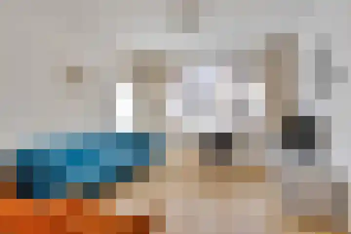 Biesterweg 67 Eindhoven thumbnail 6
