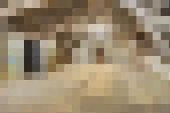 Biestraat 14 Gilze thumbnail 26