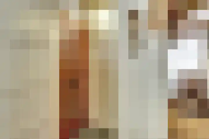 Biestraat 14 Gilze thumbnail 4