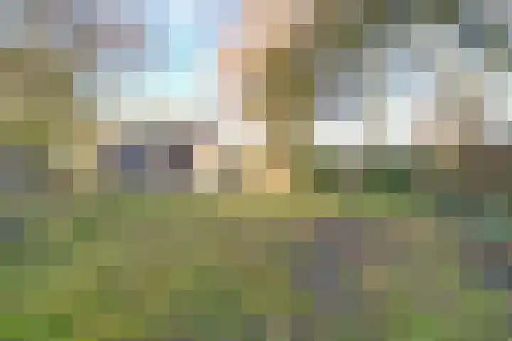 Biestraat 14 Gilze thumbnail 42