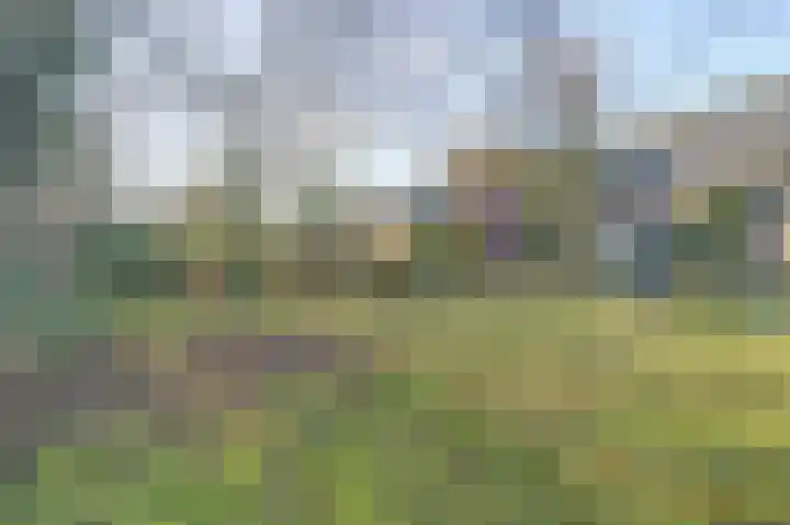 Biestraat 14 Gilze thumbnail 45