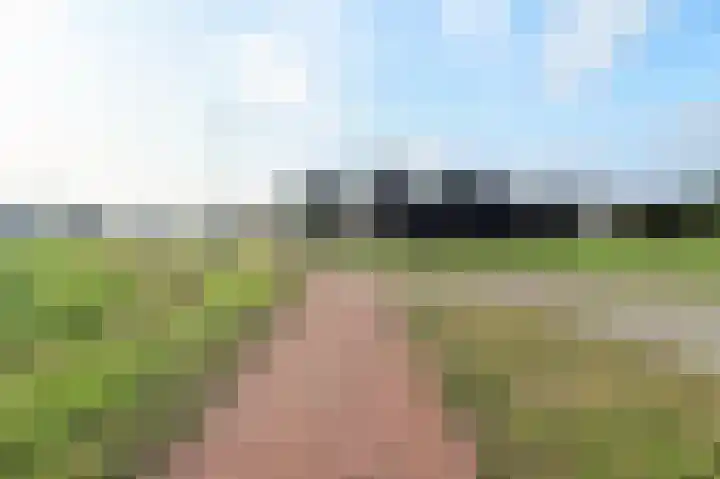 Biestraat 14 Gilze thumbnail 66
