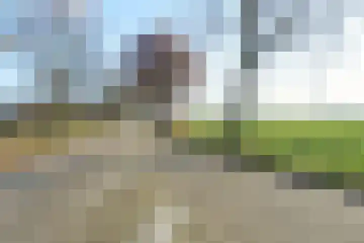 Biestraat 14 Gilze thumbnail 67