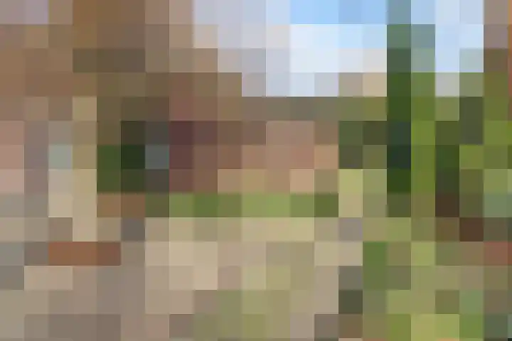 Biestraat 14 Gilze thumbnail 73