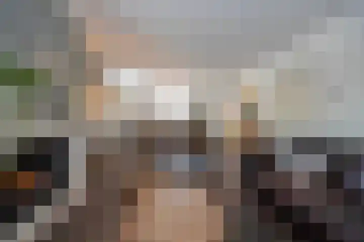 Biestsestraat 25 Biest-Houtakker thumbnail 11