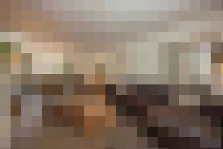 Biestsestraat 25 Biest-Houtakker thumbnail 12