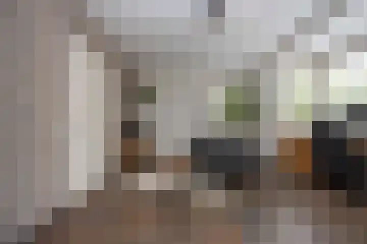 Biestsestraat 25 Biest-Houtakker thumbnail 13