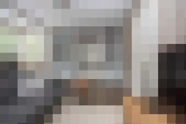 Biestsestraat 25 Biest-Houtakker thumbnail 14