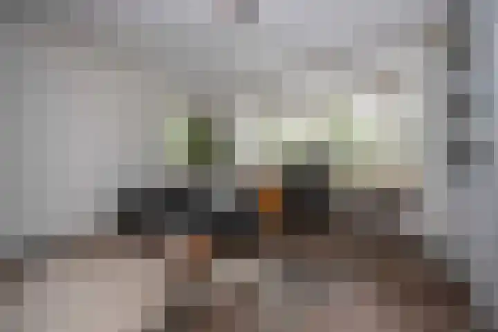 Biestsestraat 25 Biest-Houtakker thumbnail 15