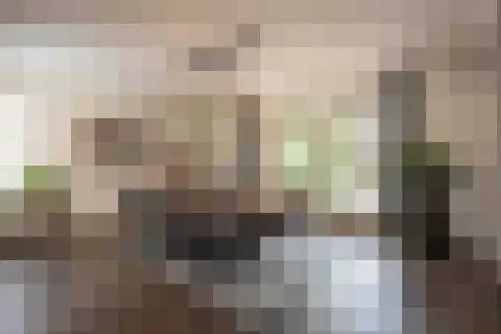 Biestsestraat 25 Biest-Houtakker thumbnail 16