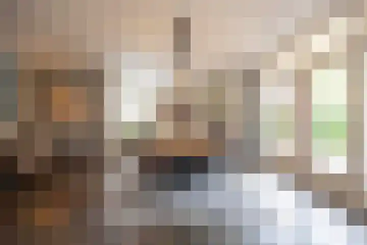 Biestsestraat 25 Biest-Houtakker thumbnail 17