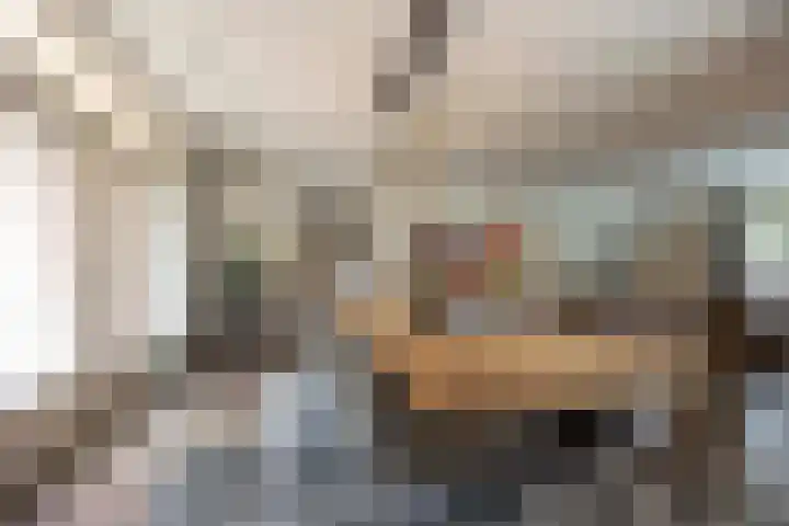 Biestsestraat 25 Biest-Houtakker thumbnail 18