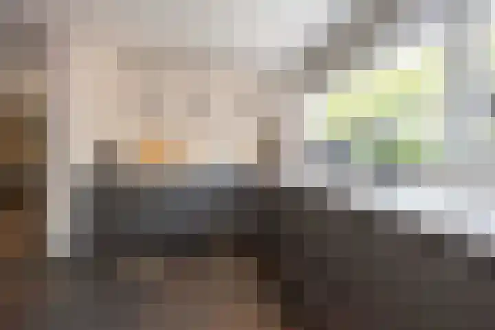 Biestsestraat 25 Biest-Houtakker thumbnail 20