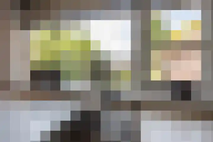 Biestsestraat 25 Biest-Houtakker thumbnail 21