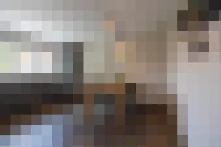Biestsestraat 25 Biest-Houtakker thumbnail 22