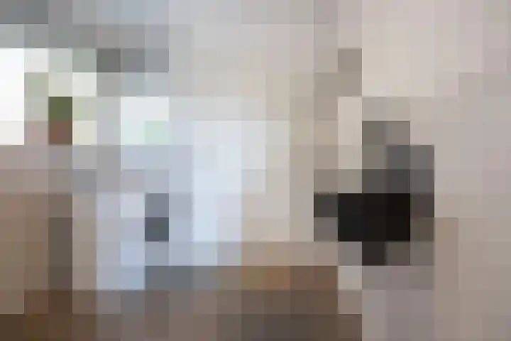 Biestsestraat 25 Biest-Houtakker thumbnail 24
