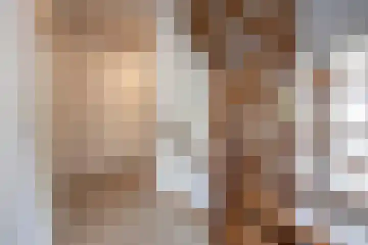 Biestsestraat 25 Biest-Houtakker thumbnail 26
