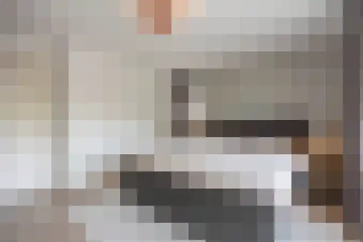 Biestsestraat 25 Biest-Houtakker thumbnail 29