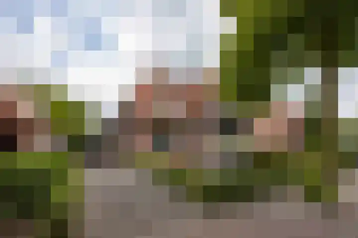 Biestsestraat 25 Biest-Houtakker foto 3