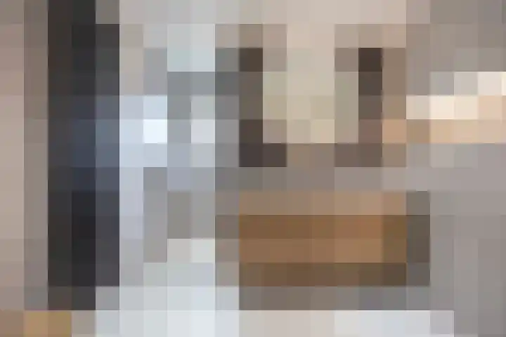 Biestsestraat 25 Biest-Houtakker thumbnail 31