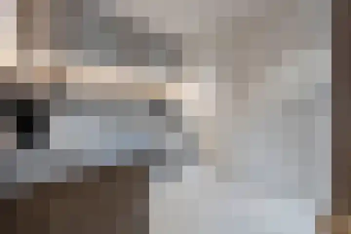 Biestsestraat 25 Biest-Houtakker thumbnail 32