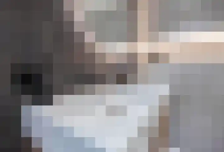 Biestsestraat 25 Biest-Houtakker thumbnail 34