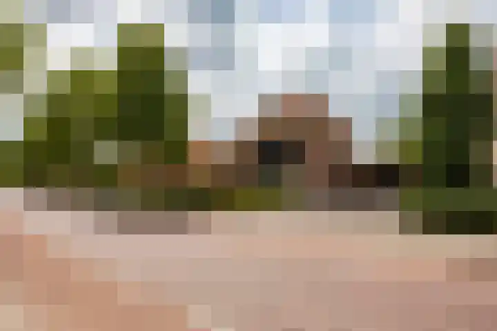 Biestsestraat 25 Biest-Houtakker thumbnail 4