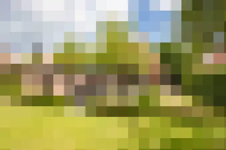 Biestsestraat 25 Biest-Houtakker thumbnail 40