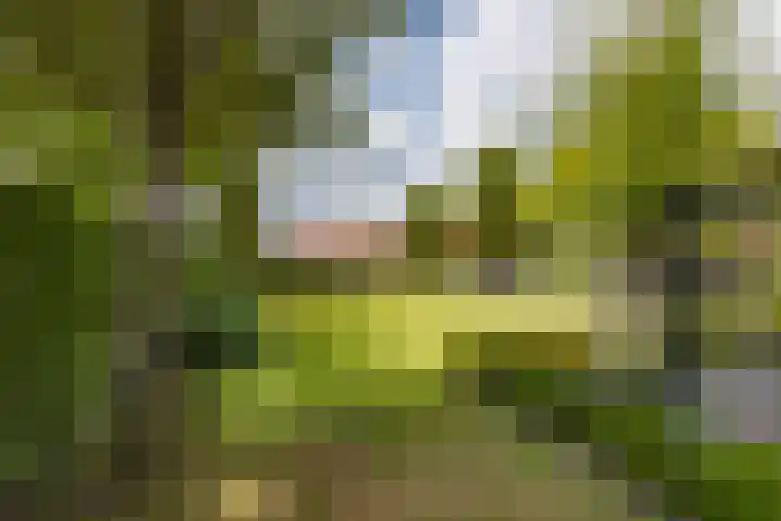 Biestsestraat 25 Biest-Houtakker thumbnail 41