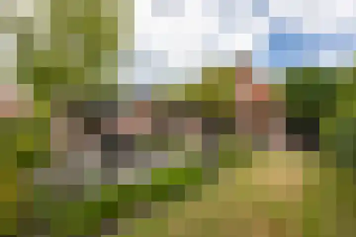 Biestsestraat 25 Biest-Houtakker thumbnail 42