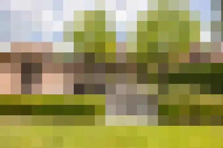 Biestsestraat 25 Biest-Houtakker thumbnail 43