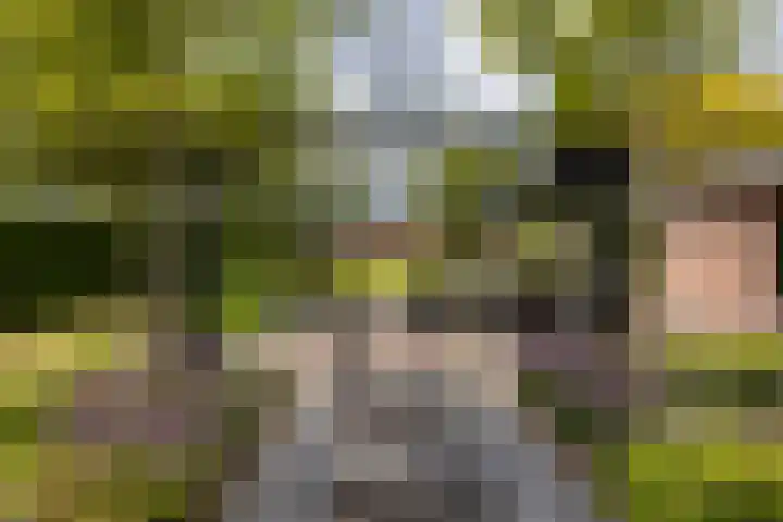 Biestsestraat 25 Biest-Houtakker thumbnail 44