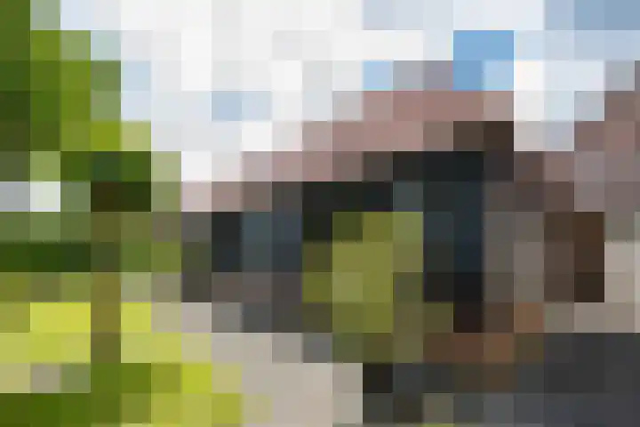 Biestsestraat 25 Biest-Houtakker thumbnail 45