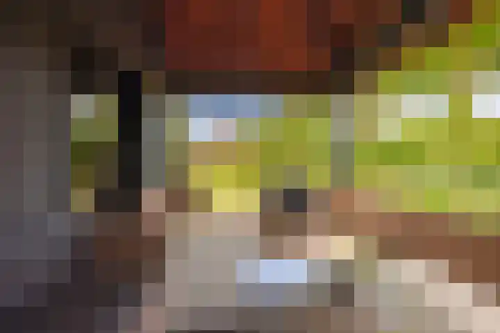 Biestsestraat 25 Biest-Houtakker thumbnail 46