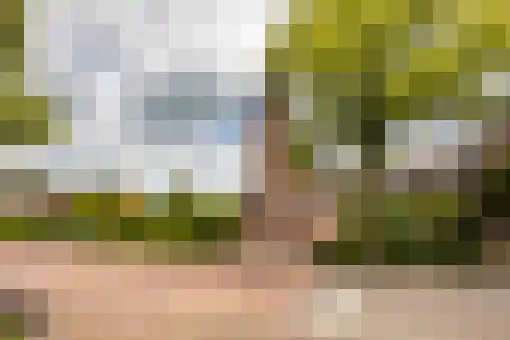 Biestsestraat 25 Biest-Houtakker thumbnail 48