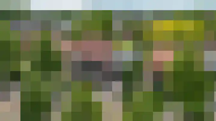 Biestsestraat 25 Biest-Houtakker thumbnail 49