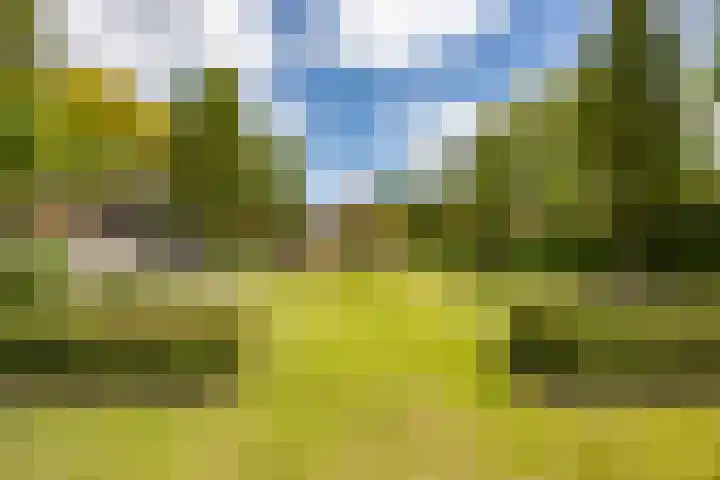 Biestsestraat 25 Biest-Houtakker thumbnail 5