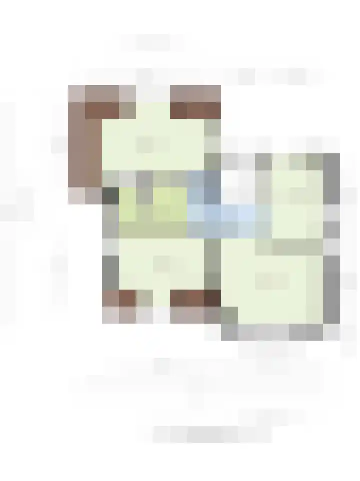 Biestsestraat 25 Biest-Houtakker thumbnail 51