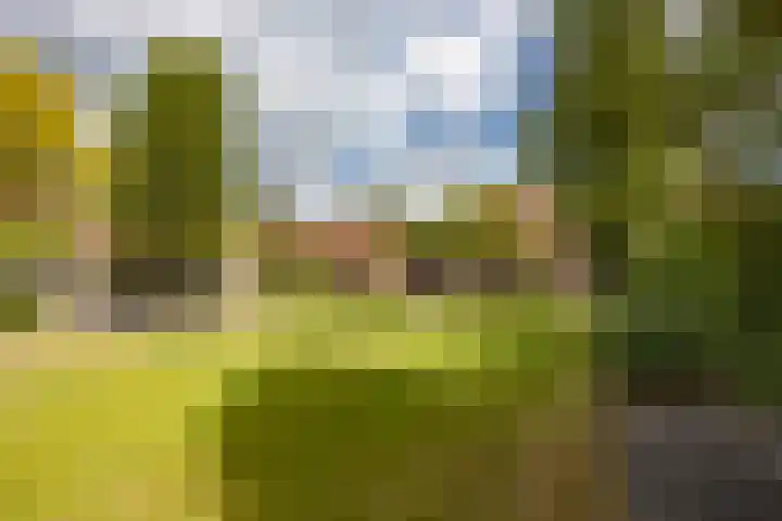 Biestsestraat 25 Biest-Houtakker thumbnail 56