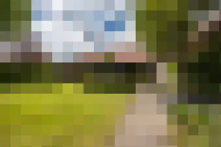 Biestsestraat 25 Biest-Houtakker thumbnail 6
