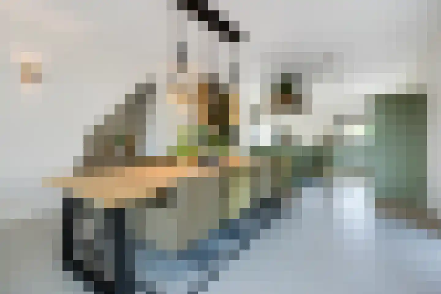 Biestsestraat 56 A Biest-Houtakker thumbnail 11