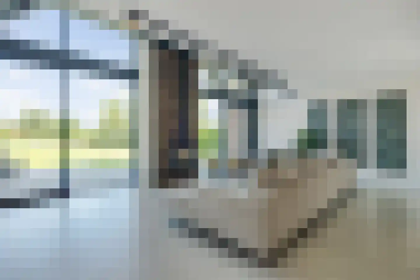 Biestsestraat 56 A Biest-Houtakker thumbnail 12