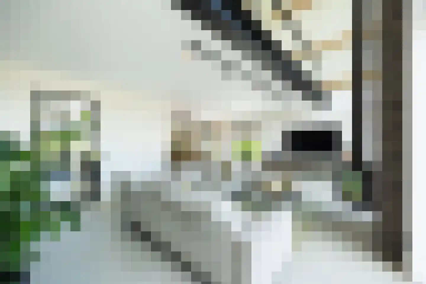 Biestsestraat 56 A Biest-Houtakker thumbnail 13