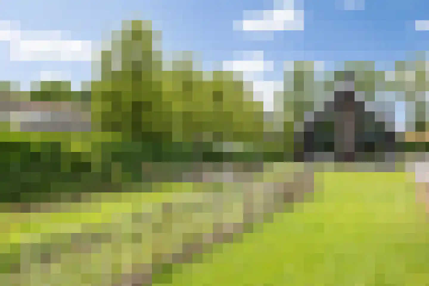 Biestsestraat 56 A Biest-Houtakker thumbnail 16