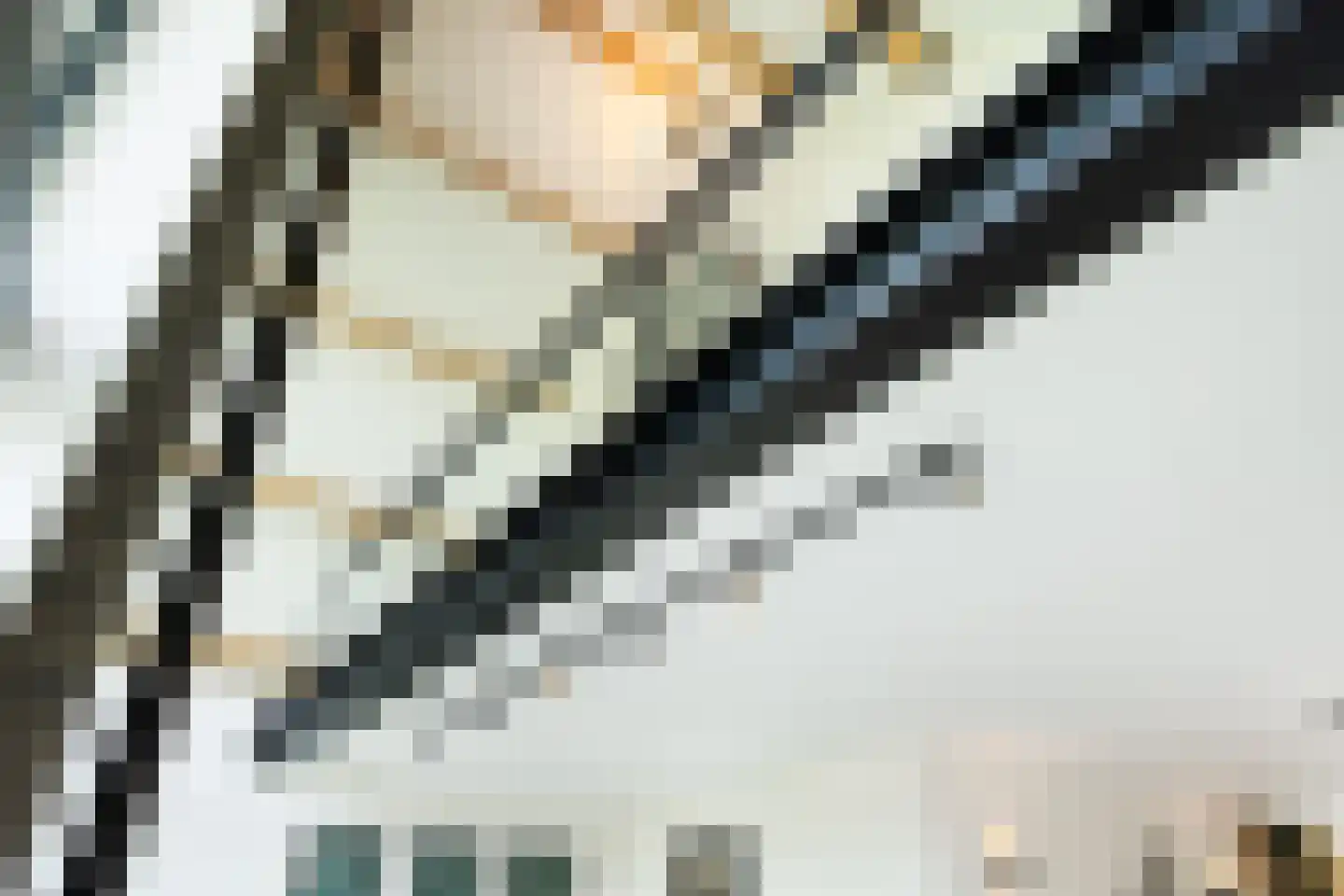 Biestsestraat 56 A Biest-Houtakker thumbnail 22