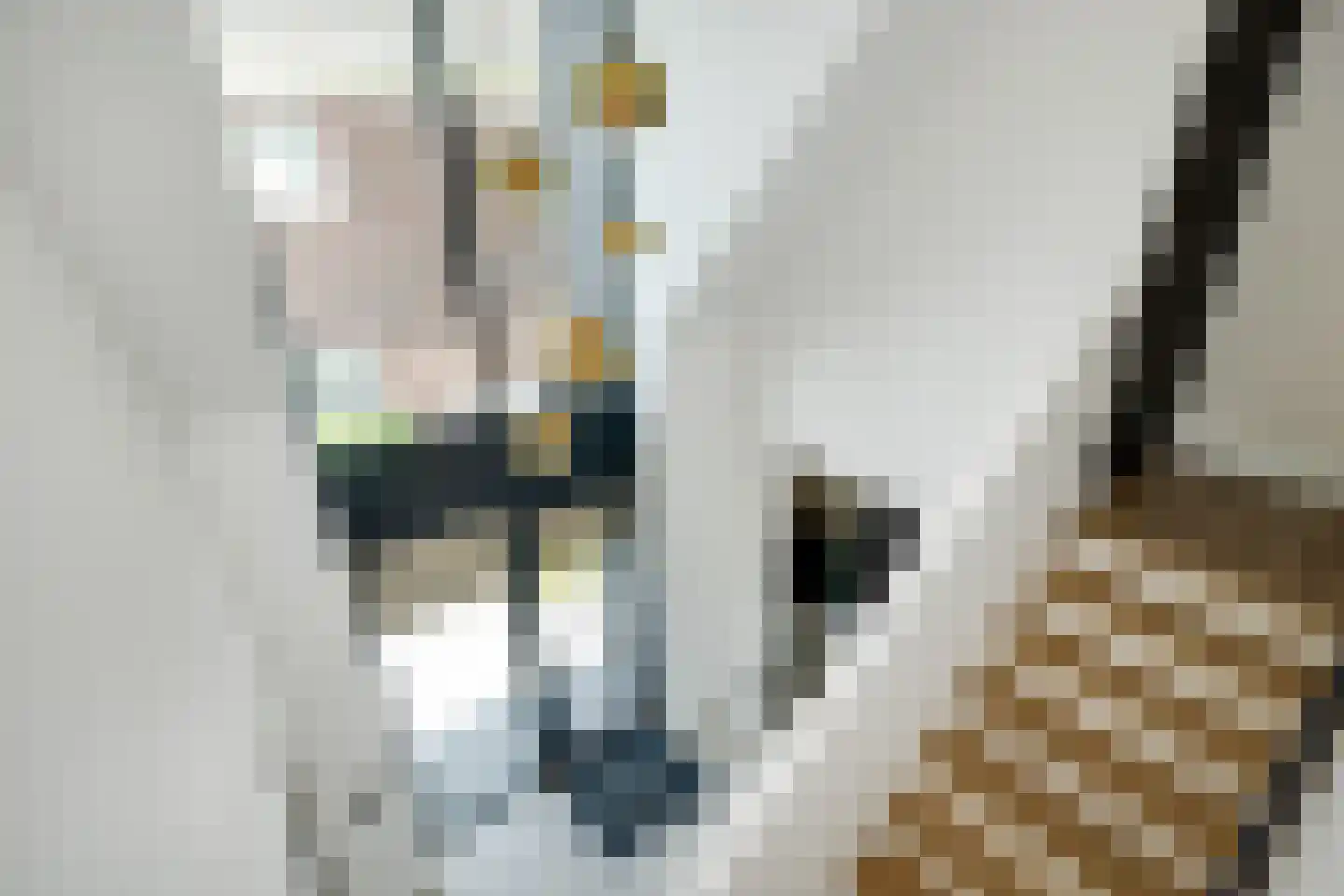 Biestsestraat 56 A Biest-Houtakker thumbnail 23