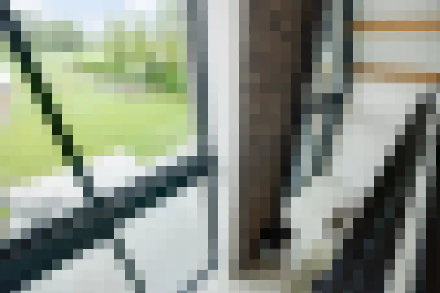 Biestsestraat 56 A Biest-Houtakker thumbnail 25