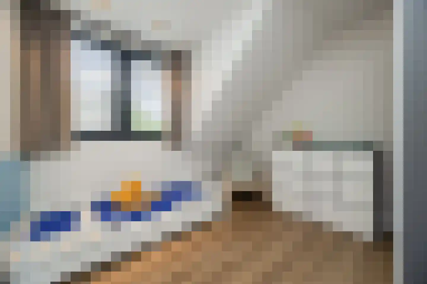 Biestsestraat 56 A Biest-Houtakker thumbnail 26