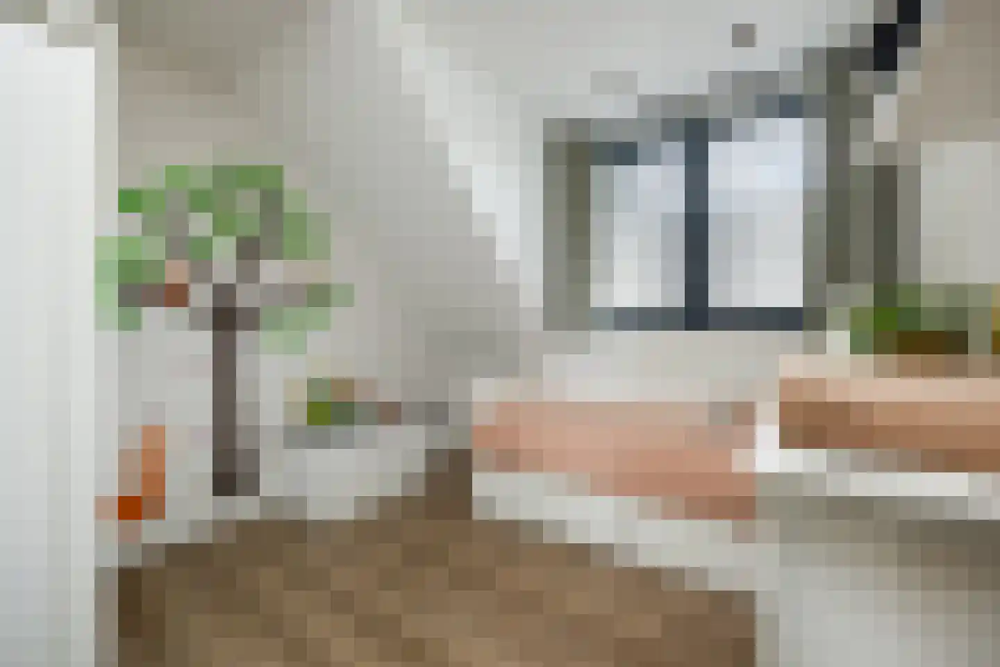 Biestsestraat 56 A Biest-Houtakker thumbnail 27
