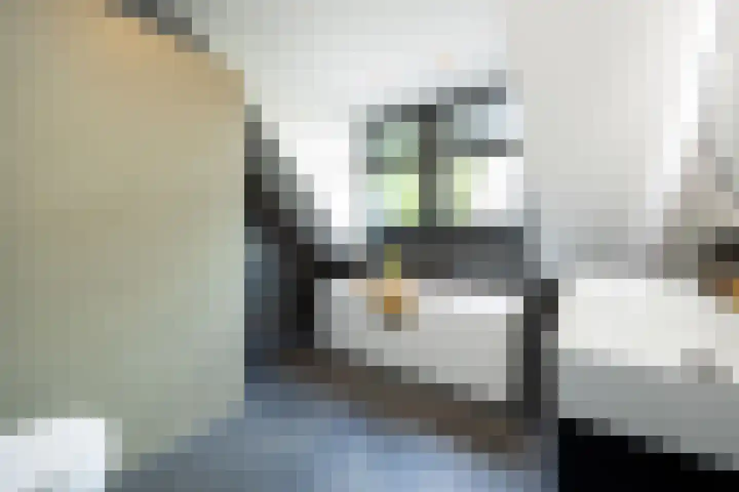 Biestsestraat 56 A Biest-Houtakker thumbnail 28